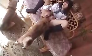 asian bestiality, beastiality porn