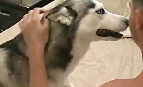 guy fucks animal, animal fuck porn