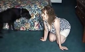 bullsbet bet - dog sex, blowjob