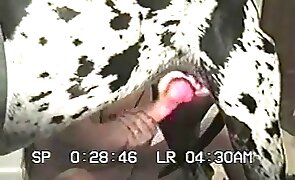 girl fucks animal, animal fucking
