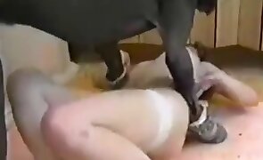 dog sex, oral zoophilia