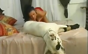 blowjob, dog sex