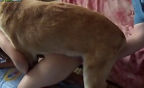 girl fucks animal, sex with animals