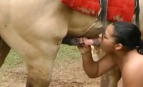 hardcore zoo porn, pony porn