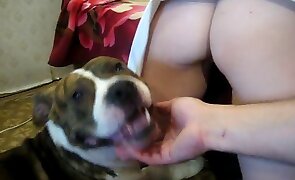 dog sex, animal fuck porn