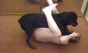 dog sex, sex with animals